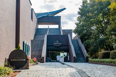 🦖 이바라키 자연사 박물관(뮤지엄파크 이바라키켄 시젠하쿠부츠칸) 이미지 2